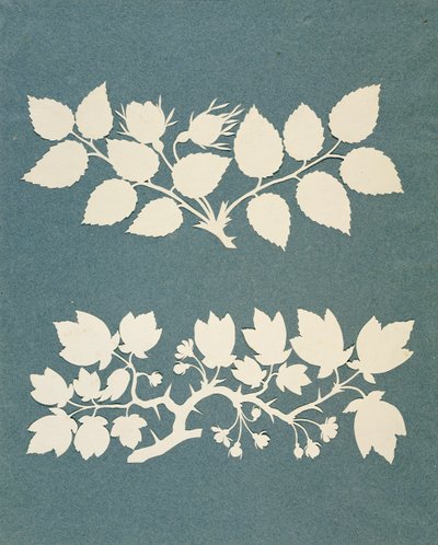 A Rose Branch and Jasmin Branch by Philipp Otto Runge